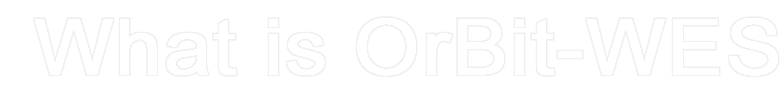 OrBit-WES企業倉庫執行系統